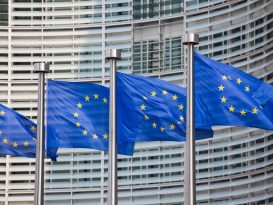 EU considers more free carbon permits for fertiliser industry amid competitiveness concerns