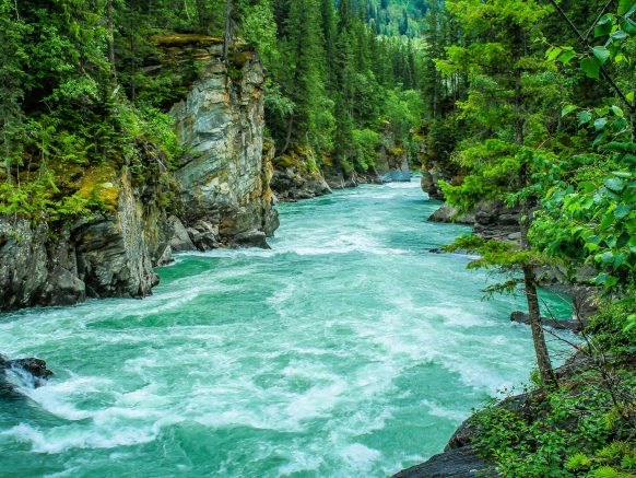 New Environmental Partnership Between Prince Albert II Foundation and Gere Foundation