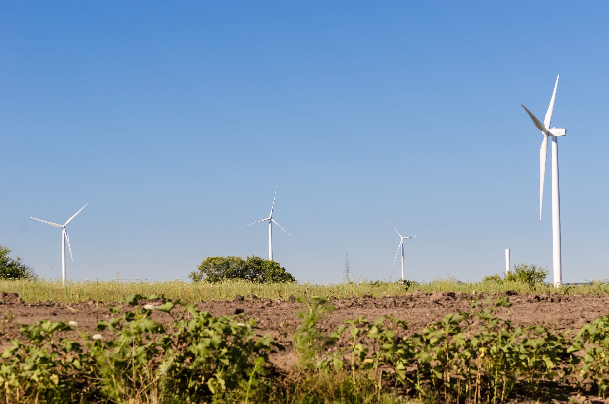 Portugal offers fast-track areas for wind and solar projects