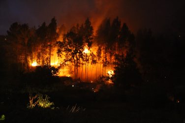 fire