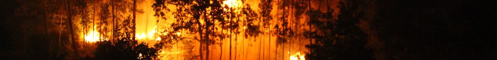 fire