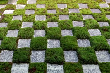 Climate Action in European Cities: The New Urban Drive for Green and Social Infrastructure