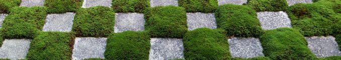 Climate Action in European Cities: The New Urban Drive for Green and Social Infrastructure