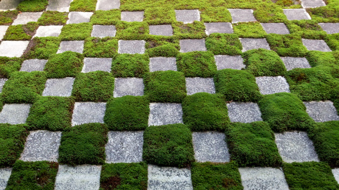 Climate Action in European Cities: The New Urban Drive for Green and Social Infrastructure