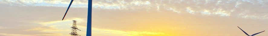 Renewable energy surpasses coal as top global power source