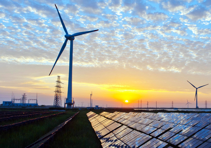 Renewable energy surpasses coal as top global power source