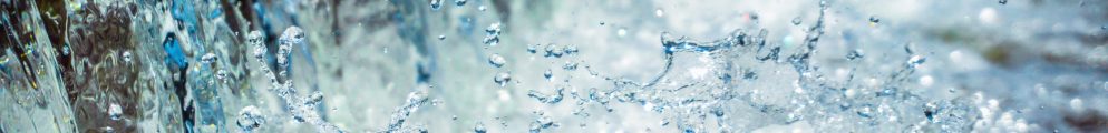 ‘Global water bankruptcy’:a new global water alert