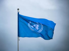 Biodiversity: new United Nations treaty enters into force