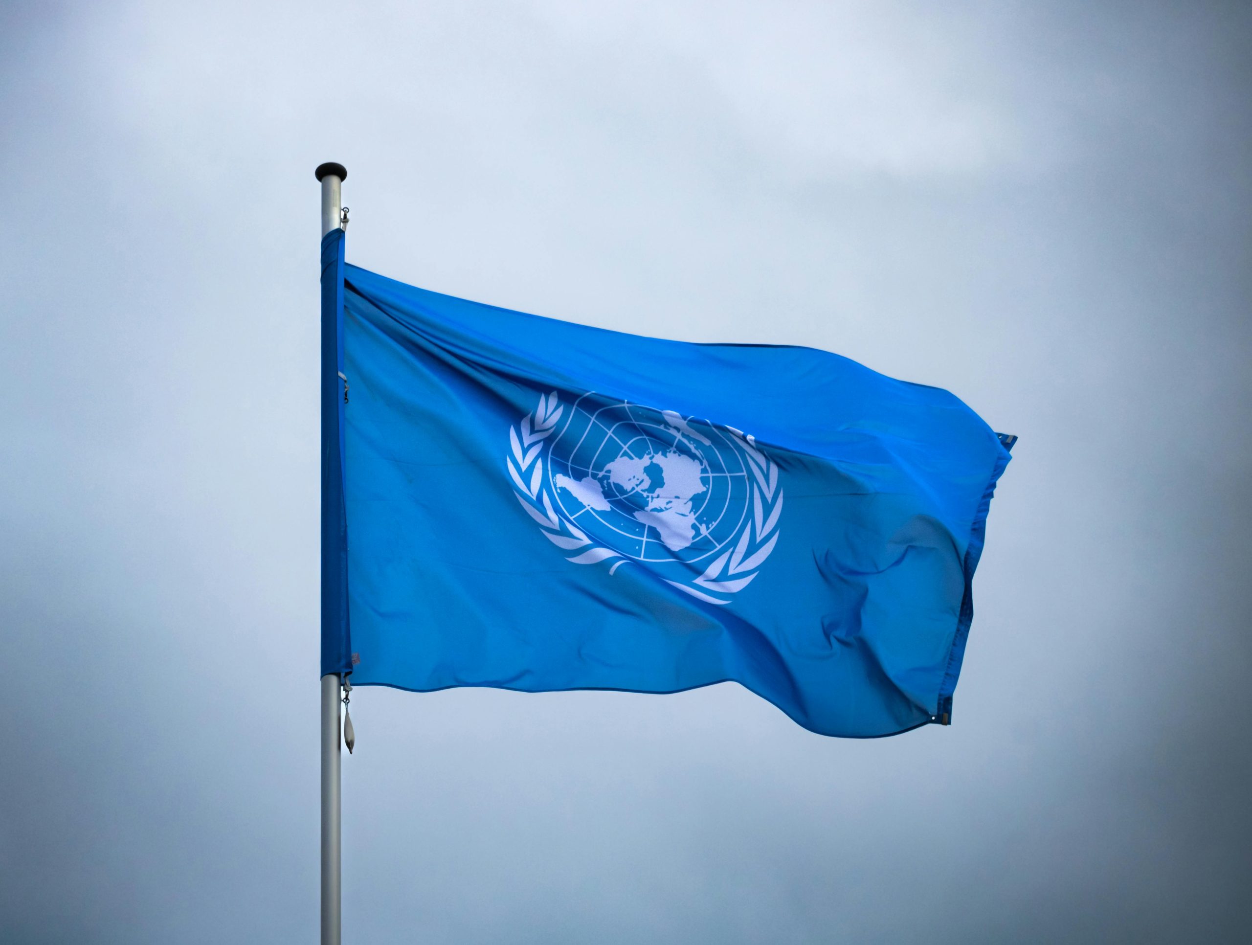 Biodiversity: new United Nations treaty enters into force