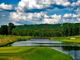 Companies warned: protecting nature is now a matter of survival
