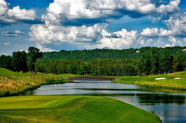 Companies warned: protecting nature is now a matter of survival