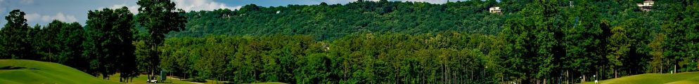Companies warned: protecting nature is now a matter of survival